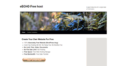 Desktop Screenshot of eecho-gratis-hosting.com